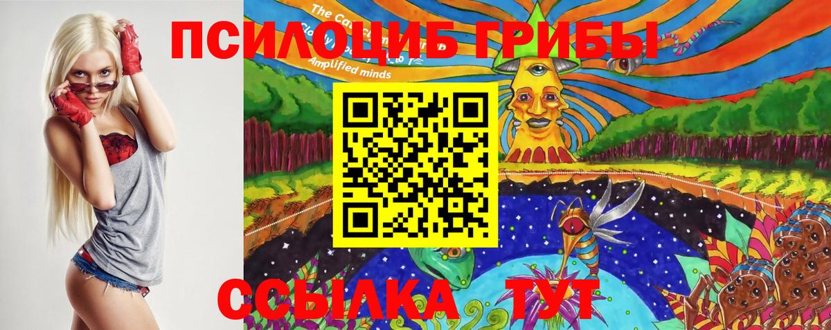 Галлюциногенные грибы GOLDEN TEACHER  Вход с VPN  Электрогорск  Галлюциногенные грибы MAGIC MUSHROOMS 